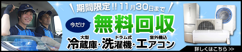 2016年11月-期間限定キャンペーン