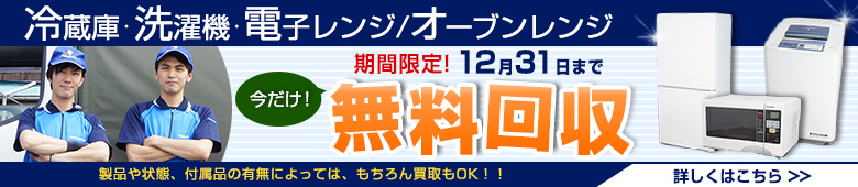 2016年12月-期間限定キャンペーン